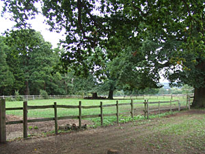 Paddock